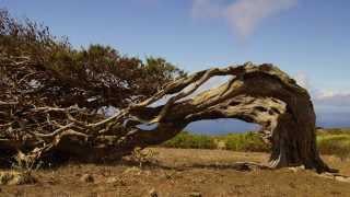 El Hierro - Ein persönlicher Reisebericht