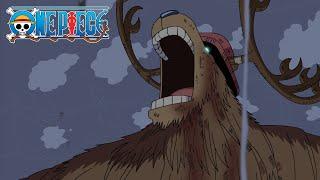 Chopper's Monster Point Transformation | One Piece