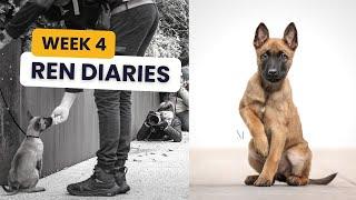 Ren Diaries: Week 4 Major Socialisation + Training Tests