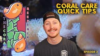 Coral Care Quick Tips with Blaine of King Tide Corals