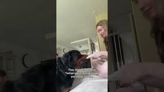 Brb crying #dogs #rottweiler #doggielife #puppy #dogmom #pets