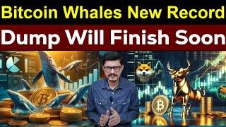 Bitcoin Whales New Record l Market Dump Will Finish Soon l Crypto Baba