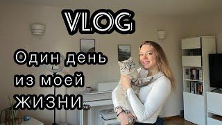 VLOG /покупка машины / интуитивное питание это вред / как выглядят отношения длиною в 7 лет