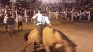 ginete Lucas Peres vs Limão no rodeio internacional de Herval