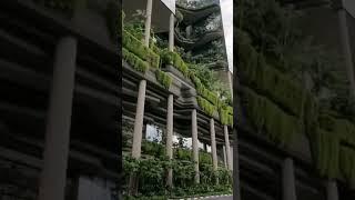Сингапур - город будущего. В городе охлаждают улицы, чтобы не было так жарко