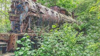 Der vergessene Zug im Wald