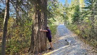 Hiking Mill Creek Ravine South - Whitemud Park