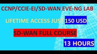 Cisco SD-WAN full Corse - With Lab offer
