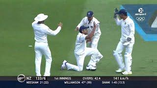 India vs New Zealand 2nd Test 2014 | Highlights - NZ vs IND 2014