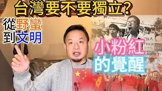 從小粉紅到文明社會人的蛻變：一個中國人移民的心路歷程  | 台灣、香港及西藏獨立問題大老王的巧妙話術 #台灣 #小粉紅