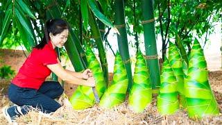 Harvesting Bamboo shoots & Goes To Market Sell | Gardening And Cooking | Lý Tiểu Vân