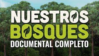 Documental "Nuestros bosques" EN VIVO - Especial de Latina Noticias