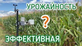 Что такое эффективная урожайность?