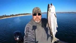 Landlock King Salmon Folsom 12/30/2019