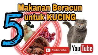 LIMA MAKANAN BERACUN UNTUK KUCING