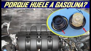 Por que el Auto huele a gasolina? las razones principales