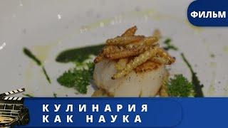 ЗАКУЛИСЬЕ НА КУХНЕ! НАУЧНО - ПОПУЛЯРНЫЙ СЕРИАЛ! Кулинария как наука. Серии 1 - 4 / (2020) /KINODRAMA