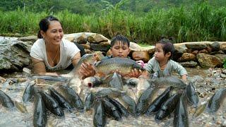 Harvesting wild fish to sell at market & Taking care of animals on farm | Lý Thị Nhim