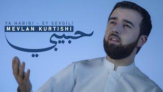 Mevlan Kurtishi - Ya Habibi (Ey Sevgili)