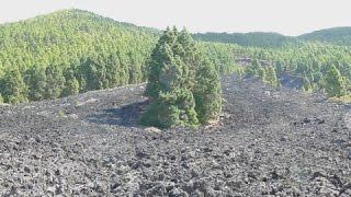 La Palma Wandelen: San Juan