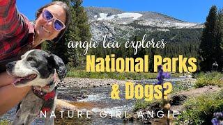 Explore a National Park with my dog. (Angie Lea Explores)