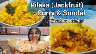 Srilankan Pilaka curry & pilaka sundal / Naveenas's Tiny Tips/ Srilankan food recipes in tamil