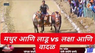 मथुर आणि लाडू vs लक्षा आणि वादळ | mathur binjod today | mathur vs vadal | #मथुर #बकासुर