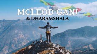 DHARAMSHALA | TOURIST PLACES | MCLEOD-GANJ | TRIUND TREK | GUIDE AND ITINERARY | #dharamshala #trek