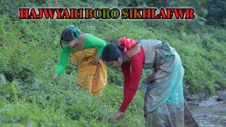 Karbi Anglong bodo village || Hajwari boro gami || Sonali & Monalisha