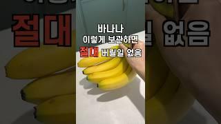 바나나 이렇게 보관하면 날파리 X 버릴일 X
