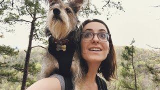 Dog Friendly Hiking in Arkansas!