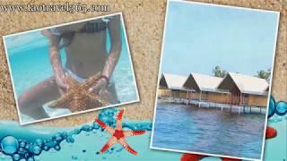 Tao Travel 365: San Blas Day Tour