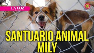 Santuario Milly, una segunda oportunidad de vida para los animales | La Voz de la Frontera