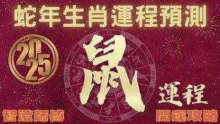 2025年 乙巳年 生肖運勢 蛇年十二生肖運程 —【肖鼠】 | 概括運程+四季不同時段出生 屬鼠運程 | 開運攻略 | 生肖運程 分析 | 愛情、事業、正財、橫財、健康預測 | 生肖運程 2025增運