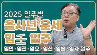 일주별 을사년 운세 - 임일주 (임인/임진/임오/임신/임술/임자)