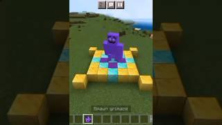 Grimace in minecraft