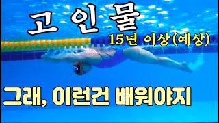 접영 스트로크는 이래야 합니다