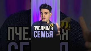 Как устроена пчелиная семья для ЕГЭ/ОГЭ по биологии