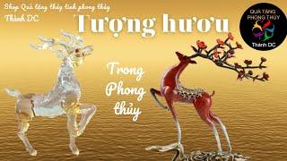 Tượng hươu trong phong thủy | seri truyện về vật phẩm phong thủy No 39