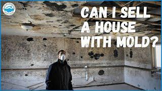 How to Sell A House With Mold | Sell My San Antonio House