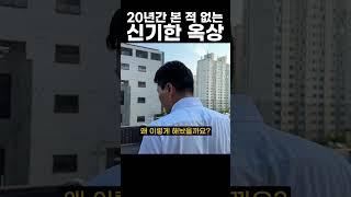 지금까지 이런 옥상은 없었다, 이것은 옥ㅅ..#shorts