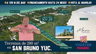 TERRENOS DE 280 M2 EN SAN BRUNO YUCATÁN - PALMAREA