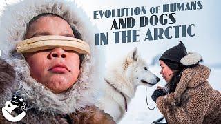 The Incredible Story of Humans and Dogs Thriving in the North American Arctic