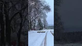 Для чего архитектор приезжает на участок? #строительство #дом #коттедж #архитектура #проектирование