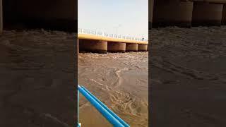 yh#sehlab#ahya#hai#fishing #boht#mehnat#se#selab#video