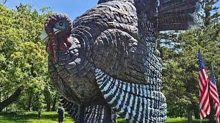 The World's Largest Turkey