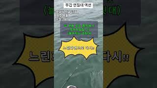 쭈꾸미 갑오징어 연질 낚시대 사용법 #fishing #선상낚시 #낚시  #로구만 #천궁