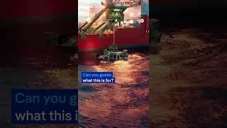 Deep-Sea Mining: Watch now on @DWDocumentary  or copy the link in the description