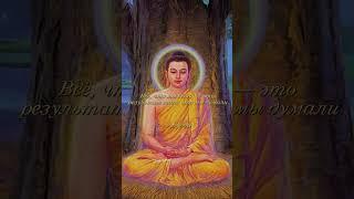 Мудрость Будды #motivation #philosophy #psychology #цитаты #love #психология #философия #shorts