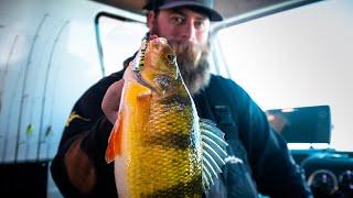 SnoBear South Dakota Jumbo Perch - In Depth Outdoors TV S17 E6